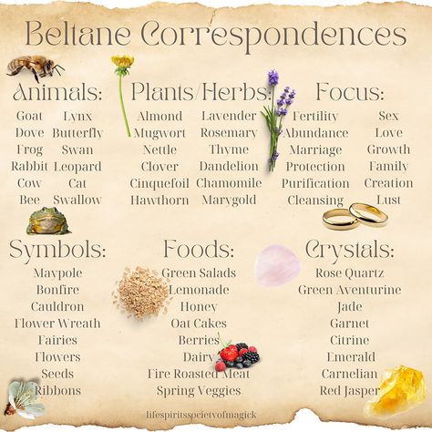 Beltane Explained: A Vibrant Celebration of Fire, Fertility, and Festivity Celtic Calendar, Spring Veggies, Cow Cat, Grimoire Book, Oat Cakes, May 1st, Spring Equinox, Roasted Meat, Fire Roasted