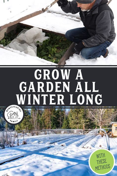 Cold Weather Crops, Gardening In Winter, Winter Homesteading, Harvest Food, Row Covers, Future Garden, Snow Melting, Seed Starter, Harvest Recipes