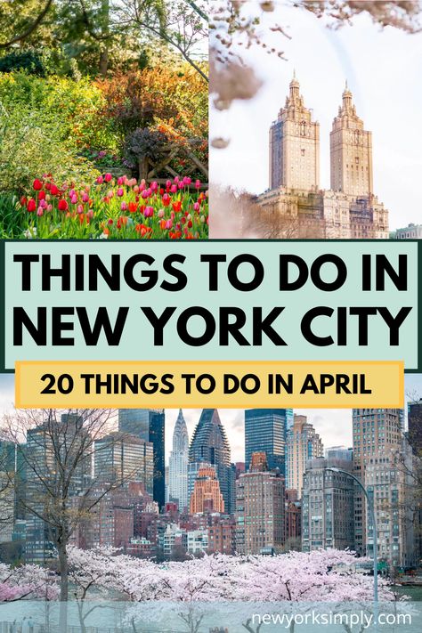 Nyc Must Do, Nyc Sightseeing, Spring Nyc, Nyc Attractions, Nyc Itinerary, Nyc Spring, Nyc Neighborhoods, Nyc Travel Guide, Museums In Nyc