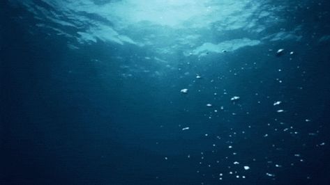 Water Aesthetic Gif, Water Banner Gif, Ocean Aesthetic Gif, Water Powers Gif, Anime Water Gif, Ocean Banner Gif, Bubbles Gif, Water Banner, Ocean Banner