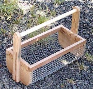 Harvest Basket, Garden Basket, Basket Uses, Vegetable Basket, Homestead Survival, Diy Basket, Diy Garden Projects, Garden Seating, Veggie Garden