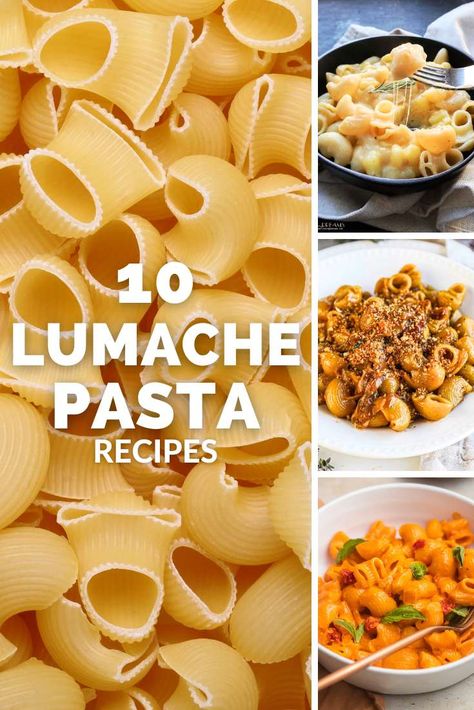 10 Lumache Pasta Recipes Lumaca Rigata Recipes, Lumaconi Pasta Recipes, Fusilli Bucati Pasta Recipes, Lumaconi Recipe, Fusilli Bucati, Spring Pasta Recipes, Spring Pasta, Rustic Recipes, Potato Pasta