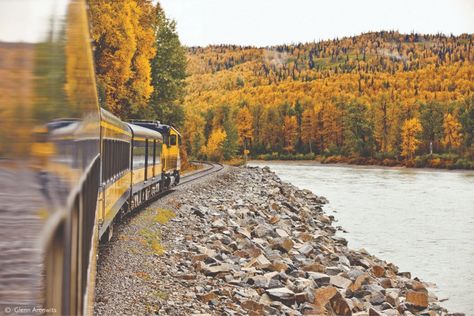 17 Things To Do In Alaska In October To Experience Fall Alaska In October, Alaska Railroad, Rail Train, Anchorage Alaska, Denali National Park, Fun Events, Fall Foliage, A Train, Hot Springs