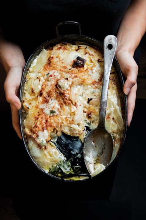 Sweet, translucent roasted onions marry beautifully with the béchamel and Gorgonzola in this rich casserole. Thanksgiving Potluck Recipes, Holiday Potluck Recipes, Onion Gratin, Creamed Onions, Roasted Onions, Potluck Recipes, Veggie Dishes, Casserole Dish, Vegetable Dishes