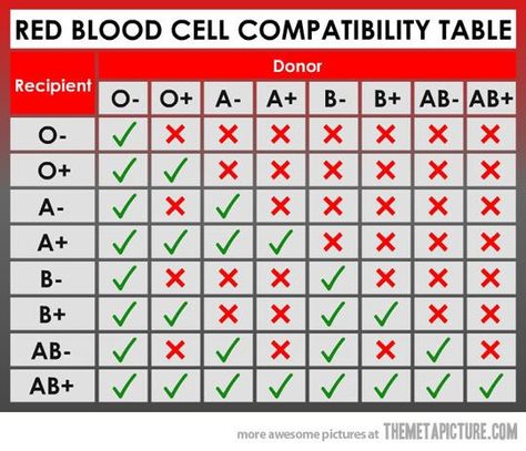 Blood Type Chart, Rarest Blood Type, Ab Blood Type, Nursing Labs, Lab Values, Nursing Schools, Blood Groups, Medical Facts, Nursing School Tips