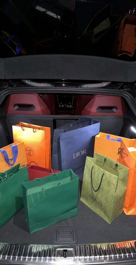 Luxury Shopping Bags, Designer Shopping Bags, City Palace Udaipur, Cool Boy Image, Designer Shopping, Arabian Beauty, Luxury Lifestyle Dreams, Cool Outfits For Men, In Car