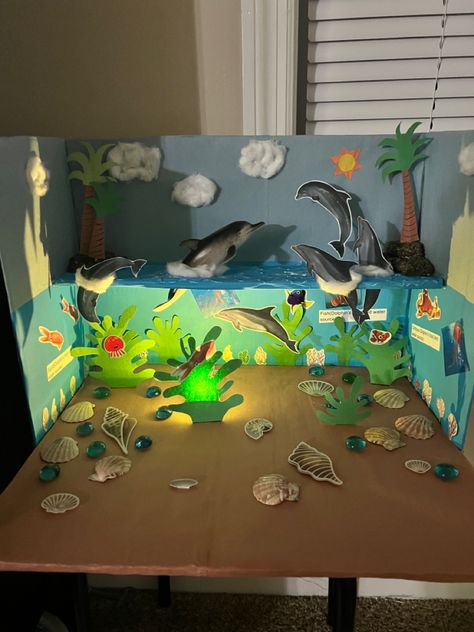 Dolphin Habitat Project For Kids, Dolphin Science Project, Dolphin Habitat Diorama, Jellyfish Diorama, Habitat Diaroma, Ocean Habitat Project For Kids, Dolphin Diorama, Habitat Diorama Ideas For Kids, Ocean Diorama Project