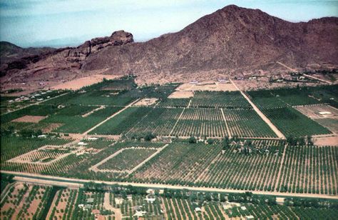 Camelback_Mountain_1956 1950s Homes, Arizona History, Orange Groves, Arizona Biltmore, Camelback Mountain, Vintage Arizona, Orange Grove, The Fifties, Historic Photos