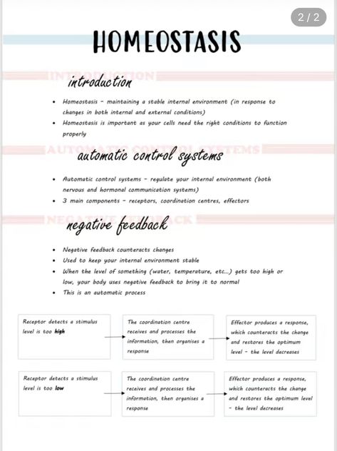 Homeostasis Notes, Cell Biology Notes, School Study Ideas, Nurse Study Notes, Revision Notes, Medical School Essentials, Biology Notes, Cell Biology, Nursing Study