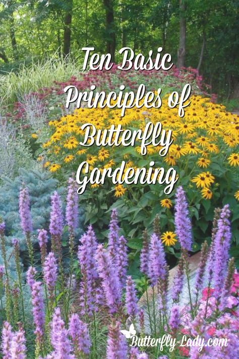 Backyard Butterfly Garden Design, Butterfly Gardens Perennials, Butterfly Garden Landscaping, Raised Butterfly Garden, Raised Butterfly Garden Beds, Flower Gardens In Front Of House, Hummingbird Garden Layout, Shade Butterfly Garden, Butterfly Bushes Landscaping