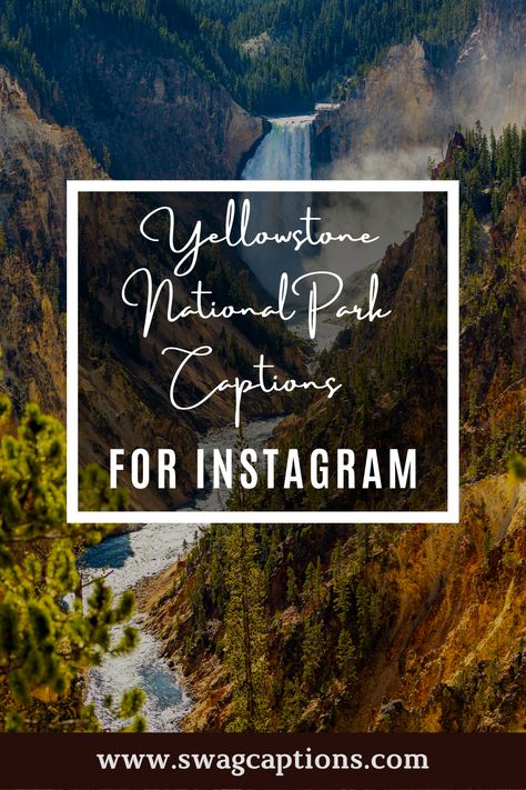 Looking for the perfect caption or quote to share on your Instagram post from Yellowstone National Park? Look no further! We've got you covered with a variety of fun and inspiring options. So get out there and explore this amazing park - then come back here to find the perfect words to capture your experience! #yellowstonenationalparkcaptions #yellowstonenationalparkquotes #yellowstonenationalpark #yellowstone #wyoming #nature #nationalpark #naturephotography #wildlife #yellowstonenps #travel Yellowstone Quotes, Yellowstone Wyoming, Wyoming Nature, Family Vacation Quotes, Waterton National Park, Park Quotes, Visit Yellowstone, Perfect Captions, Vacation Quotes