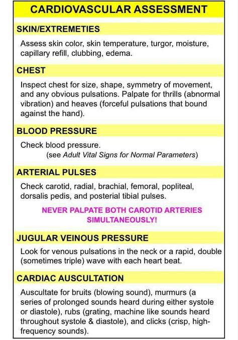 Cardiovascular assessment Cardiac Assessment, Lpn Student, Nursing Skills, Bells Palsy, Nursing Assessment, Nursing School Essential, Nursing Diagnosis, Nurse Study Notes, Cardiac Nursing