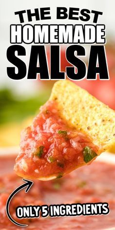 Homemade Chips And Salsa, Homemade Fresh Salsa With Fresh Tomatoes, Salsa Recipe Easy Homemade, Homemade Mild Salsa Recipe, Easy Spicy Salsa Recipe, Homemade Chunky Salsa Recipe, Salsa Not Spicy, Best Mild Salsa Recipe, Making Salsa Homemade