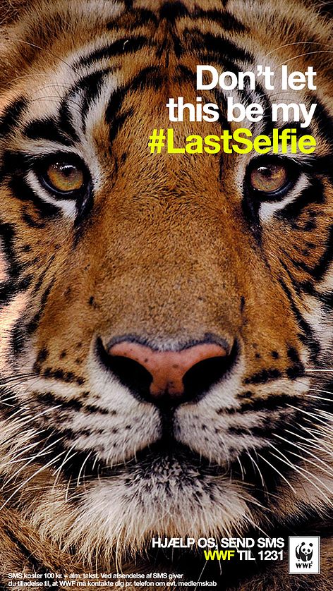 LastSelfie -  WWF Charity Poster, Save The Tiger, Snapchat Marketing, Animal Conservation, Awareness Poster, Digital Campaign, Stop Animal Cruelty, Campaign Posters, Endangered Animals