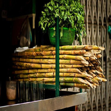 Ashoka The Great, Sugar Cane Plant, Cane Plant, Juice Stand, Wheat Rice, Sugarcane Juice, Perennial Grasses, Architecture Building Design, Tutankhamun