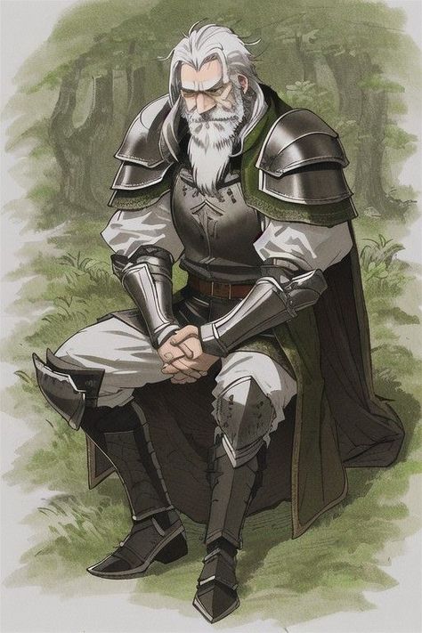 Old Knight Art, Dnd Adventurer Art, Old Soldier Fantasy Art, Old Knight Fantasy Art, Dnd Knight Art, Dnd Old Man, Old Man Dnd, Old Dnd Character, Old Man Character Art