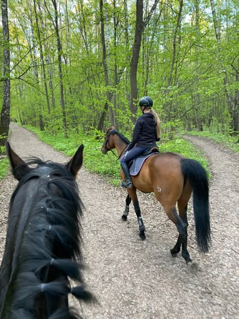 Friends Riding Horses, Equestrian Friends, Horse Girl Aesthetic, Horsey Life, Horse Riding Aesthetic, Horse Barn Plans, Equestrian Aesthetic, Horse Camp, Horse Inspiration