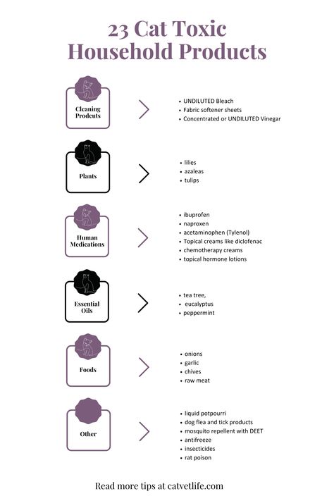 Discover the hidden dangers lurking in your home that are cat poison for your feline friends. This comprehensive list covers toxic plants for cats, toxic food for cats, and even essential oils toxic to cats. Get the list of the most common toxic household products for cats. Cat wellness is more than just cat nutrition. Get these important cat and kitten health tips now to create a happier, healthier home for your kitty. Save this pin for later. Toxic Things For Cats, Essential Oils Toxic To Cats, Herbs For Cats, Human Food For Cats, Raw Cat Food Diet, Toxic Household, Cat Friendly Plants, Toxic To Cats, Food For Cats