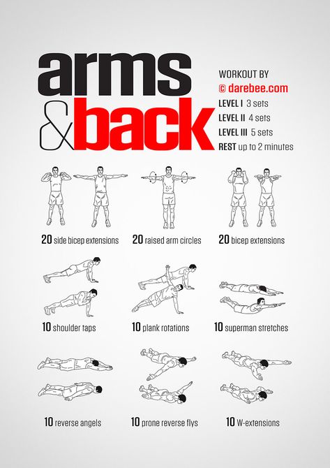 Arms & Back Workout Arm And Back Workout, Workouts Arms, Back Of Arm Exercises, Arm Workout No Equipment, Upper Body Strength Workout, Arm Workouts At Home, Exercise Muscle, Arm Workout Women, Trening Fitness