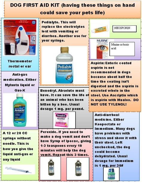 Some items important to have on hand in your first aid kit for your dog. Dog First Aid Kit, Pet First Aid Kit, Dog First Aid, Pet First Aid, Meds For Dogs, Pet Remedies, Pet Meds, Dog Medicine, Dog Remedies