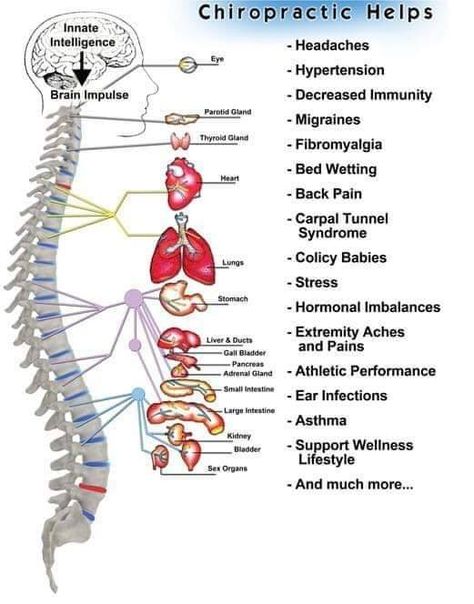 Patient Appreciation Ideas, Spinal Misalignment, Chiropractic Humor, Medical Terminology Study, Benefits Of Chiropractic Care, Chiropractic Marketing, Chiro Office, Migraine Diet, Disc Herniation