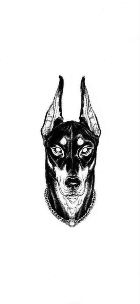 Drawings Of Dobermans, Doberman Pinscher Tattoo Ideas, Doberman Tattoo Design Line, Dober Man Tattoo, Doberman Barking Tattoo, Dog Tattoo Doberman, Angry Doberman Tattoo, Doberman Skull, Doberman Pinscher Tattoo