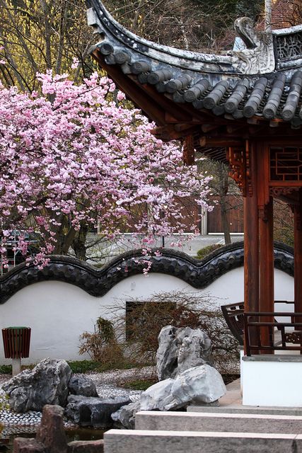 This is Stuttgart as well - Chinese Garden IV | Flickr - Photo Sharing! Chinese Gardens Landscape, Chinese Landscape Design, Fantasy Chinese Architecture, Ancient Chinese Garden, Chinese Architecture Traditional, Chinese Garden Design, Chinese Courtyard, China Garden, Ancient Chinese Architecture