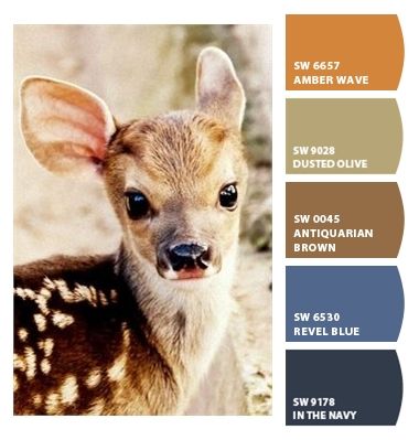 Wildlife Colour Palette, Deer Color Palette, Paint Color Combos, Aesthetic Styles, Cozy Log Cabin, Sherwin Williams Colors, Palette Art, Blue Paint Colors, Nature Color Palette