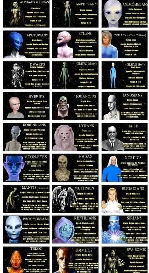 Different Alien Species, The Greys Aliens, Reptilians People, Sirian Starseed Traits, Reptilian Starseed, Pleiadians Aliens, Starseed Types, Reptilian Alien, Reptilian People