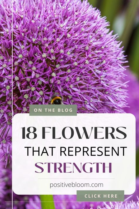 Check out a list of 18 flowers that represent strength, learn about their other meanings, and discover some of their history and tradition. Flowers For Strength Tattoo, Flowers Of Strength, Flowers Symbolizing Strength, Flowers For Strength, Flowers Meaning Strength, Flowers Representing Strength, Flower That Symbolizes Strength, Flower That Means Strength, Flower That Represents Strength