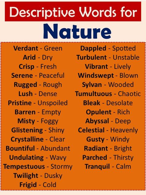 Words For Nature, Describing Words, Grammar Check, Calm Sea, New Vocabulary Words, Nature Words, Shirt Inspiration, Essay Writing Skills, Advanced English