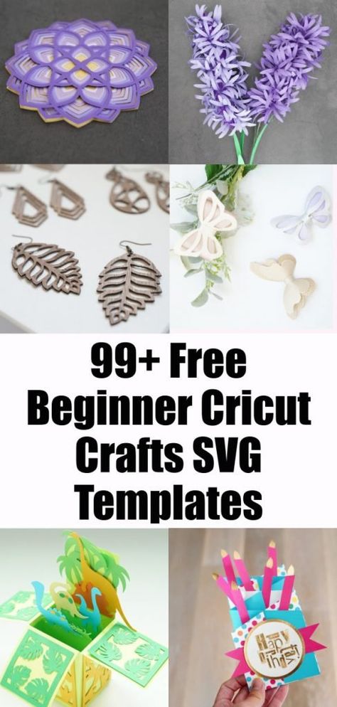 Free Cricut Projects, Templates For Cricut, Patterned Cardstock, Beginner Cricut, Svg Projects, Free Cricut Svg, 3d Templates, Cardstock Crafts, Svg Templates