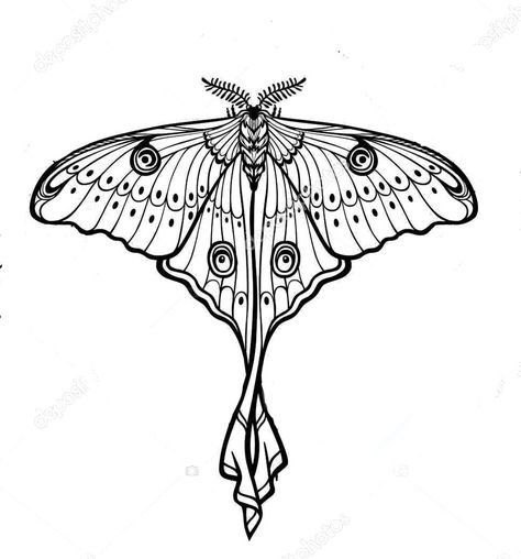 Tattoo Gift Ideas, Lunar Moth Tattoo, Luna Moth Tattoo, Moth Drawing, Moth Tattoo Design, Lunar Moth, Background Sticker, Elbow Tattoos, Moth Art