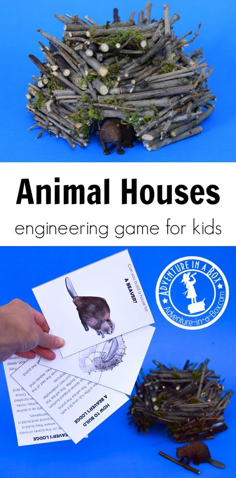 Using this nature-inspired engineering game for kids, you will learn about ten animals and the amazing houses they build, then complete the engineering challenges and build your own versions of these dwellings! #stem #stemactivities #printablegame #printable #homeschool #stemforkids #nature Nature Inspired Classroom, Engineering Challenges, Animal Activities For Kids, Forest School Activities, Steam Ideas, Amazing Houses, Nature School, Theme Nature, Steam Activities