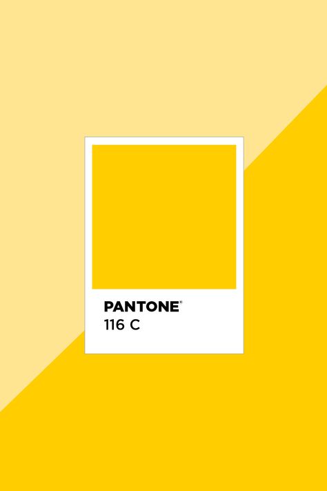 yellow tones, sunshine, sunny, happy colors, earth tones, pantone, nature, inspire, color palette, design inspiration, branding Sunscreen Color Palette, Yellow Tones Palette, Sunny Color Palette, Sunshine Palette, Sunshine Color Palette, Sunny Disposition, Yellow Palette, Sorority House, Logo Yellow