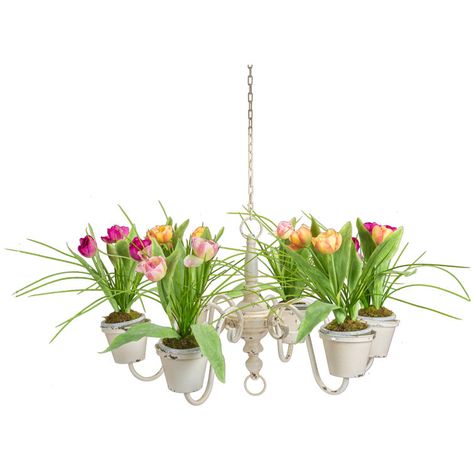 Seasonal Abode Metal Indoor Hanging Planter | Wayfair Chandelier Planter, Tulips Arrangement, Hanging Planters Indoor, Unique Chandeliers, A&b Home, English Cottage Garden, Hanging Chandelier, Orchid Plants, Vintage Planters