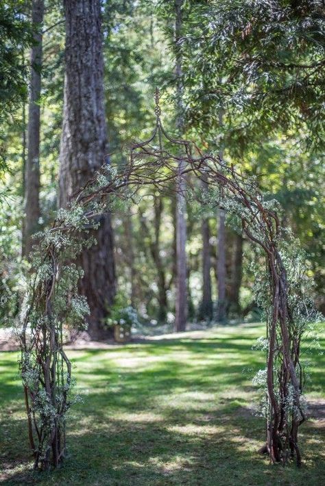 think simple with a wedding arch with brambles of manzanita branches and baby's breath for a natural feel Wedding Arbor Decorations, Branch Arch Wedding, Diy Wedding Arbor, Scandinavian Wedding, Diy Wedding Arch, Manzanita Branches, Reception Entrance, Wedding Arch Rustic, Wedding On A Budget