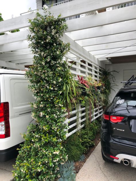 White wooden pergola with trellis separation and climbing plants Carport With Climbing Plants, Carport Plant Ideas, Single Pergola Trellis, Eyebrow Trellis, Green Wall Trellis, Wooden Pergola, Edible Landscaping, Backyard Garden Design, Climbing Plants