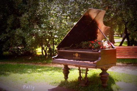 17 Creative Ideas For Repurposing An Old Piano Spinet Piano, Garden Wonderland, Piano Crafts, Photo Yoga, Old Piano, Piano Gifts, Baby Grand Piano, Piano Decor, Best Piano