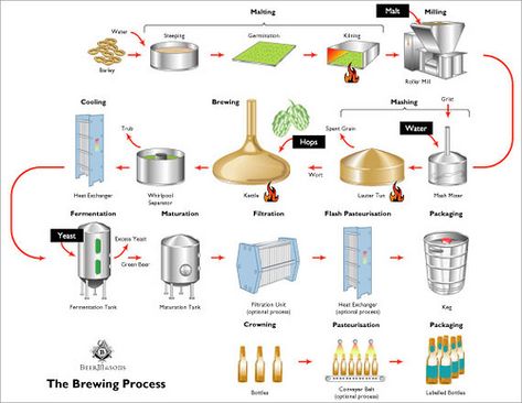 The Brewing Process Diagram - Brookston Beer Bulletin Beer Making Process, Beer Brewing Process, Process Diagram, Wine Making Process, Process Map, Process Infographic, Cider Making, Beer Making, Brewing Process