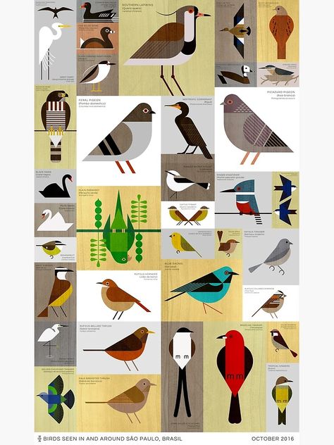 Easy Birds Painting, Scott Partridge, Paint Birds, Charley Harper Art, Draw Birds, Charlie Harper, Birds Illustration, 심플한 그림, Paper Bird