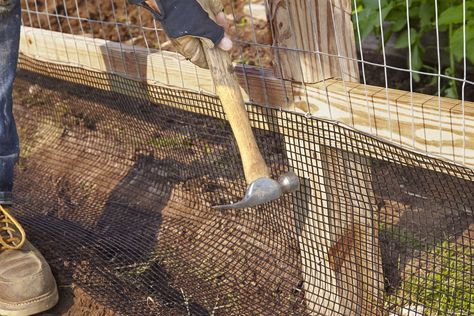 Animal Proof Garden, Rabbit Fence, Chicken Wire Fence, Deer Garden, Fenced Vegetable Garden, Cattle Panels, Diy Garden Fence, Deer Fence, Better Homes And Garden