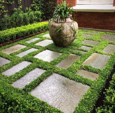 Dichondra repens - A beautiful lanscaped backyard with outdoor plant Plant Tiles, Tiles Australia, No Mow Grass, Evergreen Groundcover, Emerald Green Arborvitae, Lush Lawn, Green Carpet, Plant Nursery, Backyards