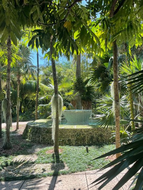 Miami Beach botanical garden Botanical Garden, The Gathering, Miami Beach, Botanical Gardens, Places Ive Been, Pink And Green, Miami, Blue Green, Florida