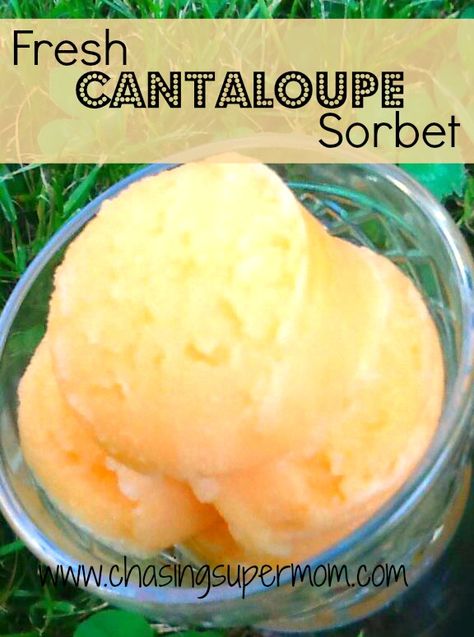 Cantaloupe Sorbet Recipes, Cantaloupe Sorbet, Ninja Ice Cream Recipe, Best Homemade Ice Cream, Ice Cream Freezer, Ice Cream Maker Recipes, Simple Syrup Recipes, Make Simple Syrup, Sorbet Recipes