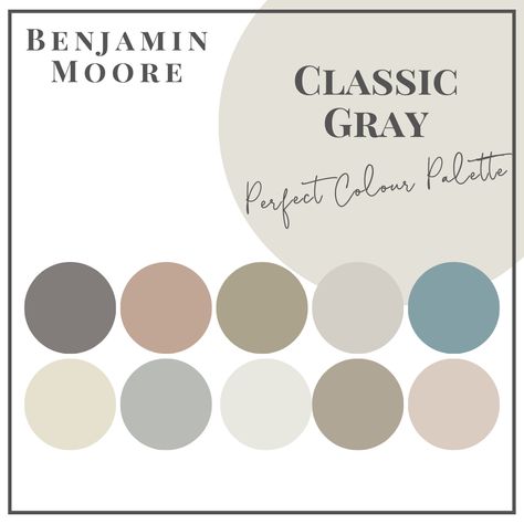 Classic Gray - Perfect Colour Palettes - Claire Jefford Benjamin Moore Paint Colours, Sherwin Williams Silver Strand, Grey Color Pallets, Benjamin Moore Classic Gray, Paint Palettes, Swiss Coffee, Accessible Beige, Best White Paint, Agreeable Gray