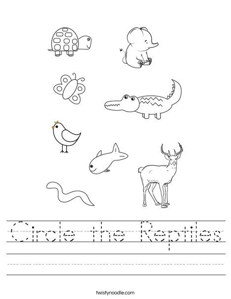 Circle the Reptiles Worksheet - Twisty Noodle Reptile Worksheets, Reptiles Worksheet, Site Words Kindergarten, Printable Number Line, Transportation Worksheet, Twisty Noodle, Animal Worksheets, Numbers Kindergarten, Social Studies Worksheets