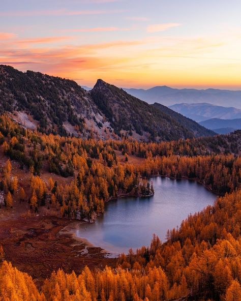 A jaw-dropping display of color far out in the Okanogan-Wenatchee National Forest. ⠀⠀⠀⠀⠀⠀⠀⠀⠀ This was my first time venturing into the sea of gold out here, and it was mesmerizing and invigorating. I only wish it was closer to home and we had more time to explore during this short burst of fall delight. ⠀⠀⠀⠀⠀⠀⠀⠀⠀ 📍Cooney Lake Distance: 18+ miles Elevation Gain: 3,500 Difficulty: Moderate to Hard (just a long trek, but gradual incline) ⠀⠀⠀⠀⠀⠀⠀⠀⠀ Make sure to scroll through for a cute surpris... Close To Home, National Forest, The Sea, First Time, Forest, Lake, Gold, Beauty, Color