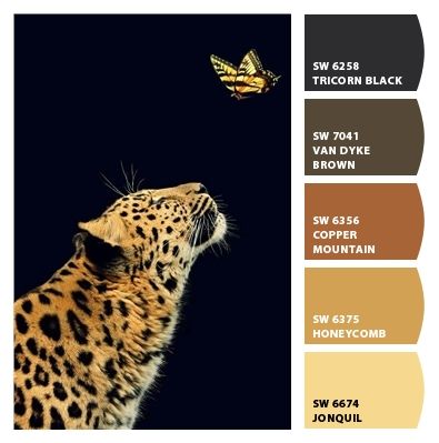 Leopard from Chip It! by Sherwin-Williams Soothing Paint Colors, Colour Reference, African Inspired Decor, Paint Color Schemes, Nature Color Palette, Pallet Painting, Colors Palette, Color Spectrum, Color Balance