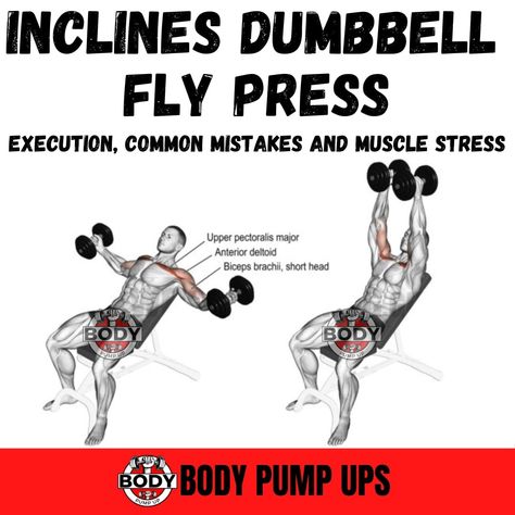 INCLINE DUMBBELL FLY BENEFITS

Incline dumbbell fly is an isolated exercise that targets the hard-to-develop upper chest muscles.
Well-rounded pecs development occurs when specific weight loads are applied to the muscle at varying angles. Horizontal adduction exercise will result in activation of these muscle fibers and hypertrophy of the chest.

Follow me @bodypumpup 
Follow me @bodypumpup 

#inclinecableflys #inclinedumbbellpress #ınclinedumbbellfly #chestpumps Chest Dumbell, Dumbell Fly, Weekly Gym Workouts, Dumbbell Fly, Biceps Brachii, Dumbbell Press, Body Pump, Chest Muscles, Chest Workouts